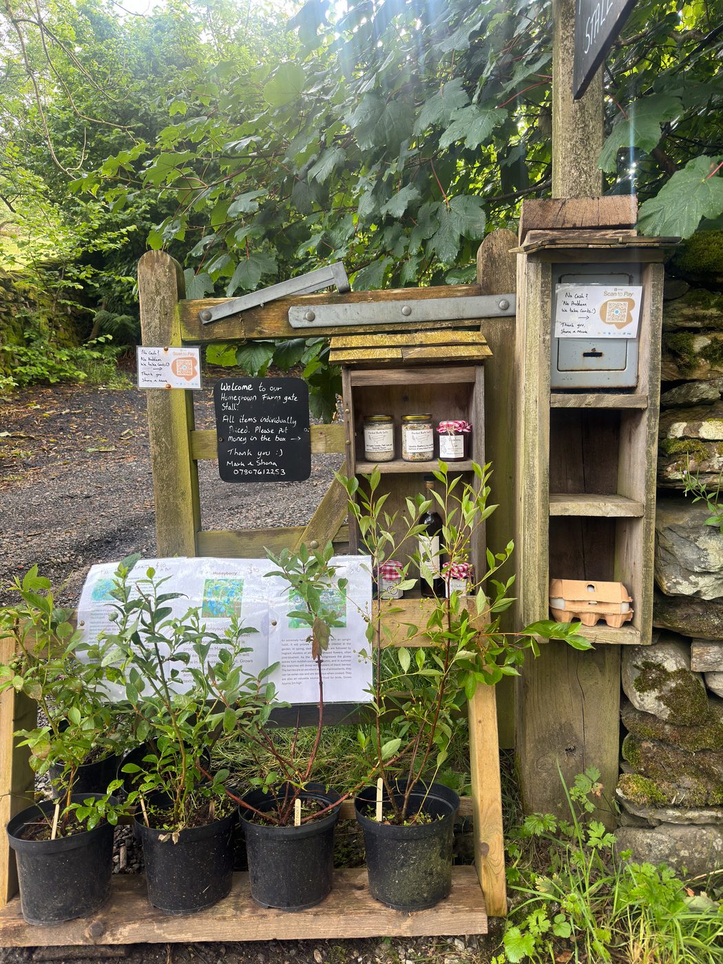 A wooden roadside honesty stall with potted plants, jars of preserves, an egg carton, and a sign reading Welcome to our Homegrown Farm gate Stall.