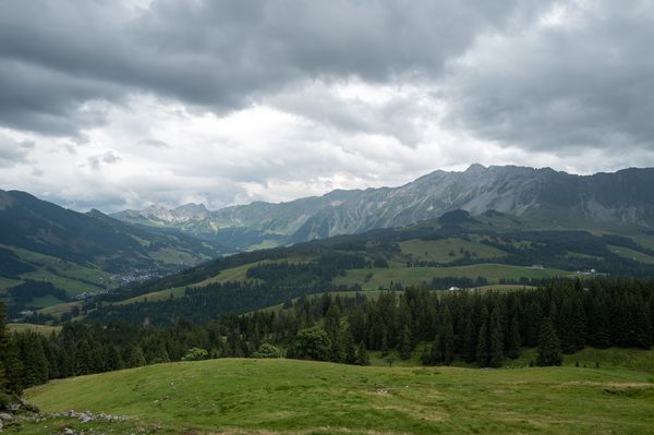 Rolling green meadow in the foreground leading down to pine forests and a distant rocky mountain range under an overcast sky.